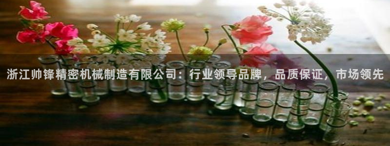 万事达娱乐平台