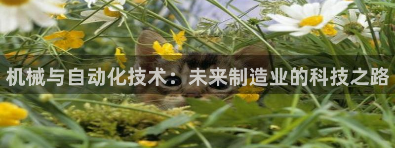 万事娱乐代理加盟电话
