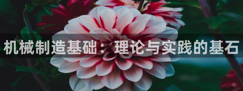 万事娱乐注册攀登