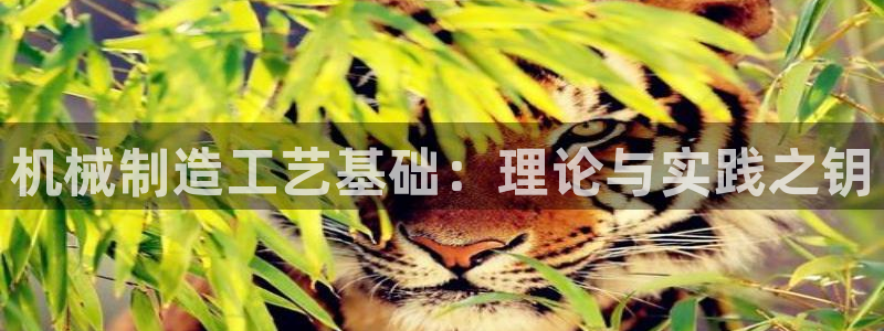 万事娱乐靠谱么
